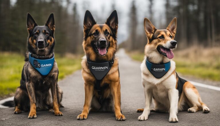 Dogtra vs Garmin: Best E-Collar Comparison